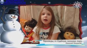 Стихотворение Однажды в студеную зимнюю пору - Некрасов