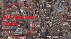 Mr Humster muzic / rain-forest