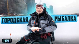 Городская рыбалка в удовольствие!