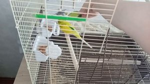 В ХОЛОДНЫЙ И ВЕСЕННИЙ ДЕНЬ НЕ СПЕШУ НЕ ОПАЗДЫВАЮ И ПРОСТО ЖИВУ