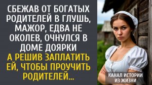 Истории из жизни: сбежав от богатых родителей в глушь, мажор едва не околел… А предложив доярке…