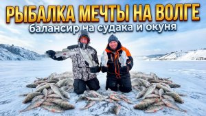 ЖЁСТКОЕ ПОРЕВО СУДАКА И ОКУНЯ НА ВОЛГЕ!