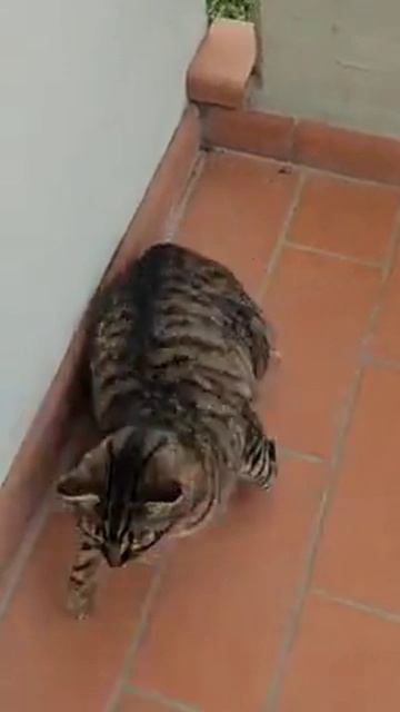 Праздники прошли смотреть онлайн