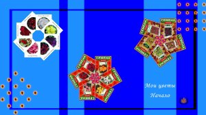 Мои цветы. Начало