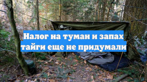 Налог на туман и запах тайги еще не придумали