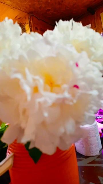 Красота пиона смотреть онлайн