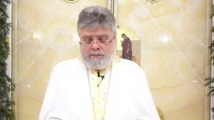 Проповедь протоиерея Григория Григорьева 18 января 2026 года.