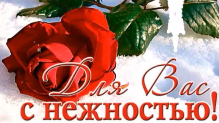 Зимние цветы Любви! С нежностью для Вас! смотреть онлайн