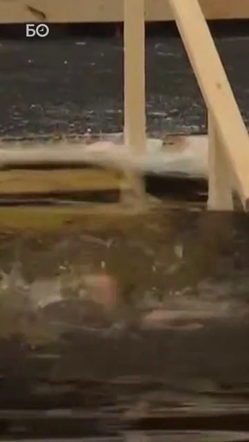 Путин традиционно окунулся в прорубь на Крещение смотреть онлайн