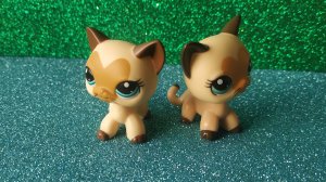 LPS: Опенинг Аквамарин 1 сезон