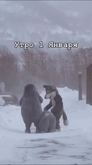 Друг в беде не бросит...