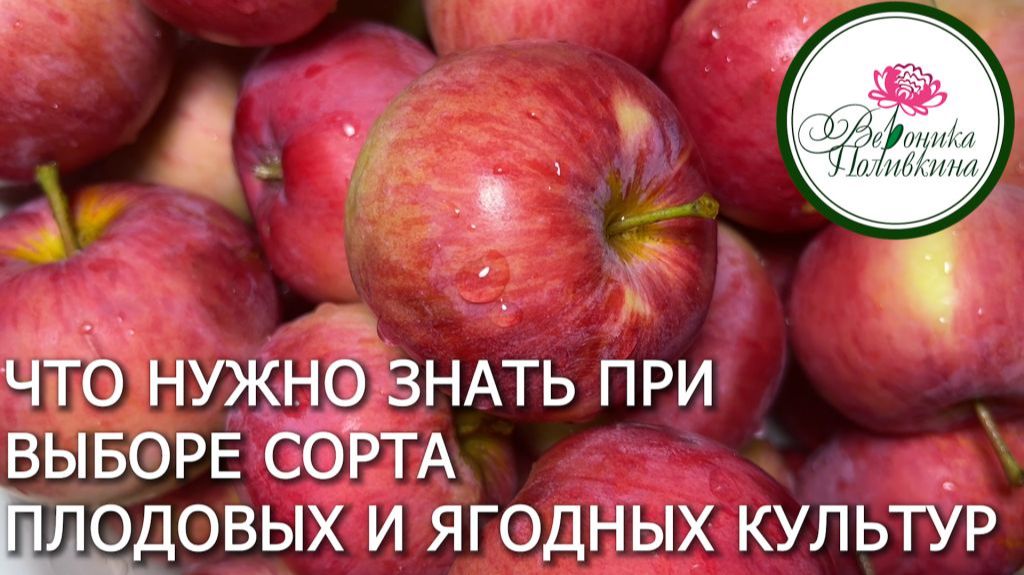Что нужно знать о сортах плодовых и ягодных растений смотреть онлайн
