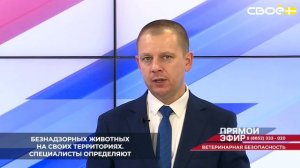 На Ставрополье администрации муниципалитетов ведут мониторинг безнадзорных животных