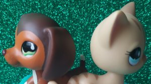 LPS: Опенинг Сави VS Брук 1 сезон