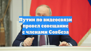 Путин по видеосвязи провел совещание с членами Совбеза