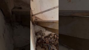 Дом с какашками