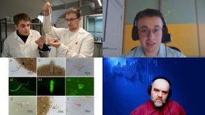 1664. Редникин А.Р.: Микропластик в мире и внутри человека. Мифы, страхи и наука