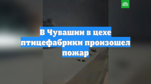 В Чувашии в цехе птицефабрики произошел пожар