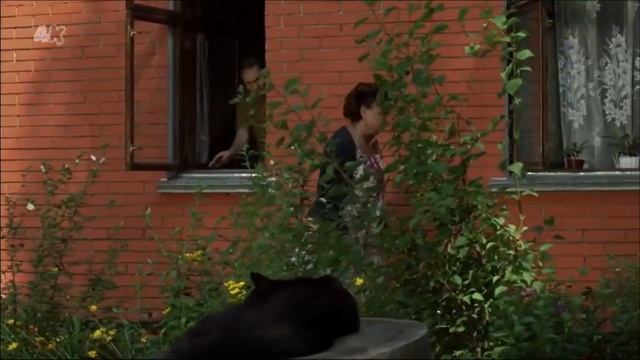 Сваты (3 сезон) смотреть онлайн