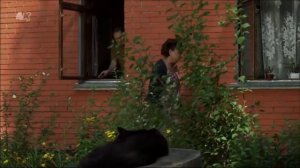 Сваты (3 сезон)