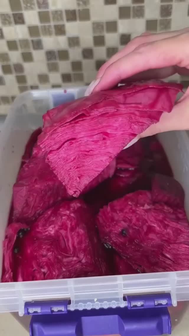 Хрустящая красная капуста смотреть онлайн