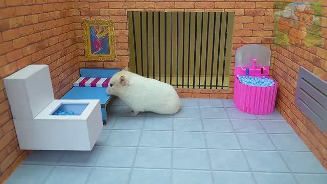 Маленький хомячок проснулся и обнаружил, что он заперт в тюрьме, и открылся последний путь к спасени смотреть онлайн