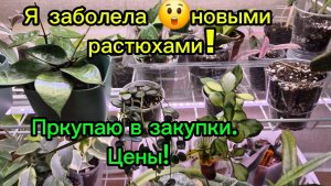 Я заболела!Новыми растениями😋!