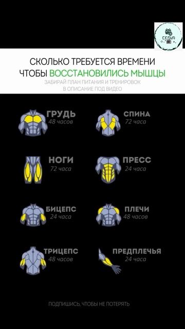 СКОЛЬКО ТРЕБУЕТЬСЯ ВРЕМЕНИ ЧТОБЫ ВОССТАНОВИТЬ МЫШЦЫ