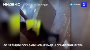 Во Франции показали новые кадры ограбления Лувра