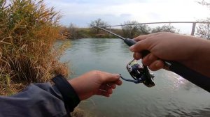 Голубой канал