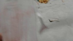 VID_20260117_234510.mp4