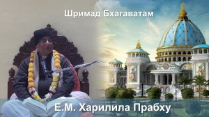 19.01.2026 || Шримад Бхагаватам 11.5.27 || Е.М. Харилила Прабху
