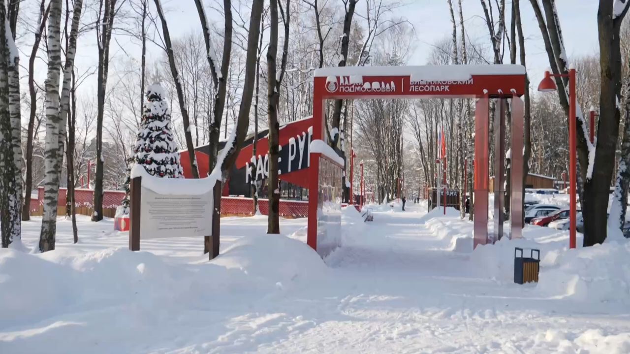 Bишняковский парк смотреть онлайн