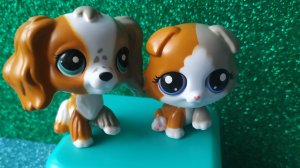 LPS: Агриппа и Агриппина 1 сезон 1 серия