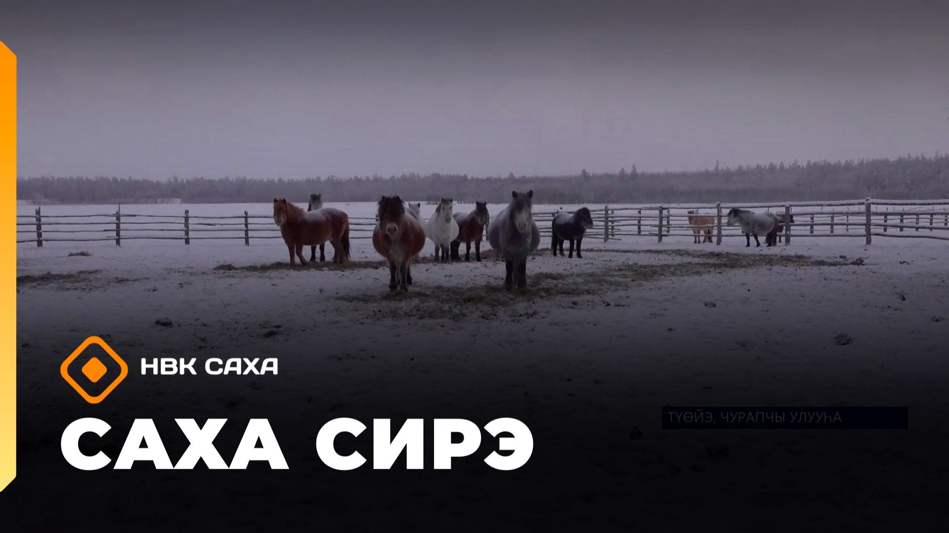 «Саха сирэ» информационнай биэрии. Тохсунньу 19 күнэ 13:30 смотреть онлайн