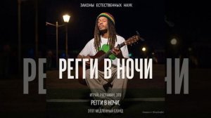Регги в ночи