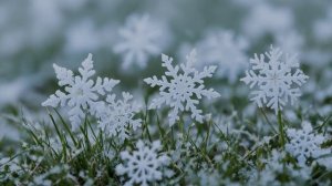 Температура почвы под снегом: сохранение тепла