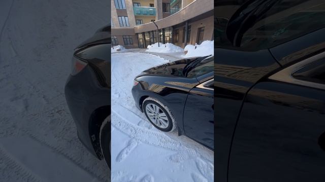 IMG_4998 смотреть онлайн