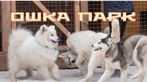 Контактный парк ОШКА . Белый колодец