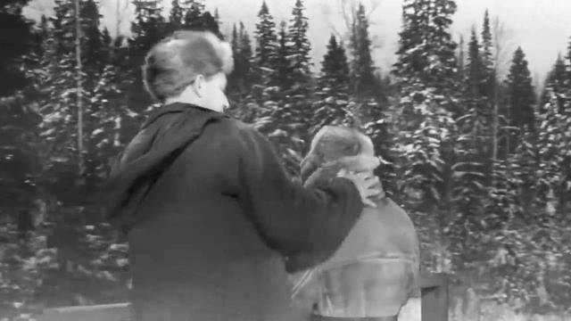 Старый клён - Девчата (1961) - HD смотреть онлайн