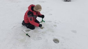 VID_20260119_094351_658