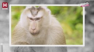 Живые импланты, демотиваторы, синдром гения | ПРО НАУКУ