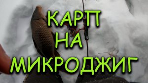 Зимний карп на микроджиг