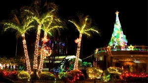 Новый год во Вьетнаме