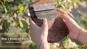 «What a Wonderful World!». Кавер для 17-нотной калимбы