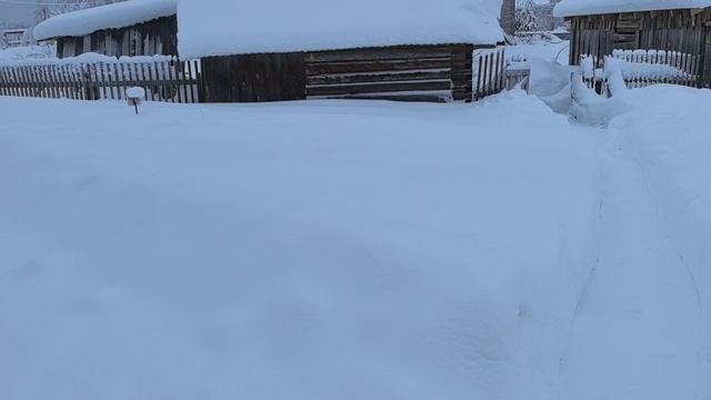 Привезли дрова. смотреть онлайн