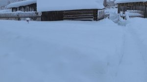 Привезли дрова.