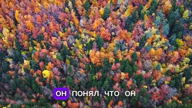 Свидетельство из Германии