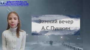 Стихотворение Зимний вечер - Пушкин