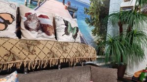 Мои пушистики